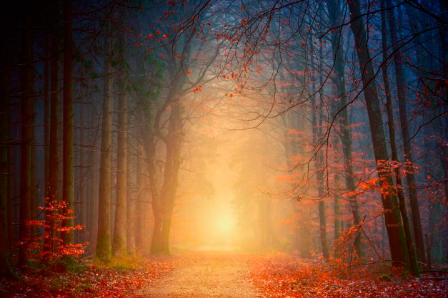 Spiritual Readings glowing path
